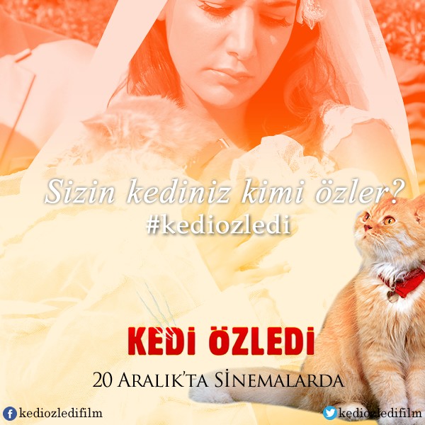 Kedi Özledi Fotoğrafı