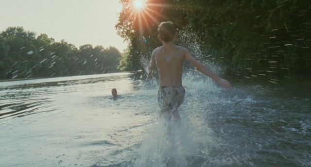 Hayat Ağacı Fotoğrafı