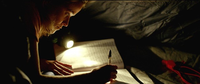Yaban Fotoğrafı