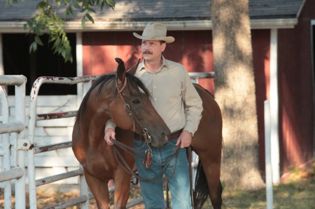 Red Wing Fotoğrafı