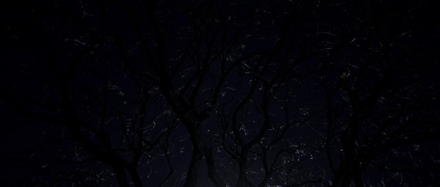 Karabasan Fotoğrafı