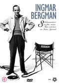Bergman Adası fotoğrafı