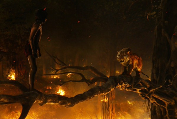 Orman Çocuğu Fotoğrafı