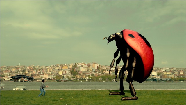 Böcek Fotoğrafı