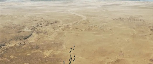 Labirent: Alev Deneyleri Fotoğrafı