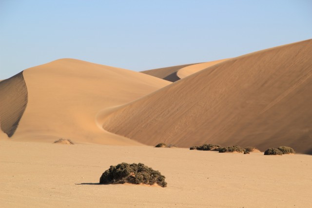 Safari Macerası Fotoğrafları 13