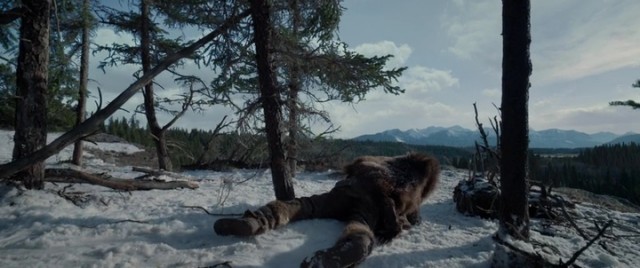 Diriliş Fotoğrafı