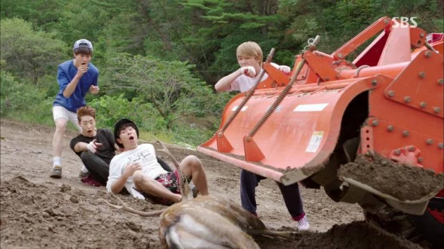 Modern Farmer Fotoğrafları 813