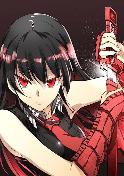 Akame ga Kill! Fotoğrafları 6