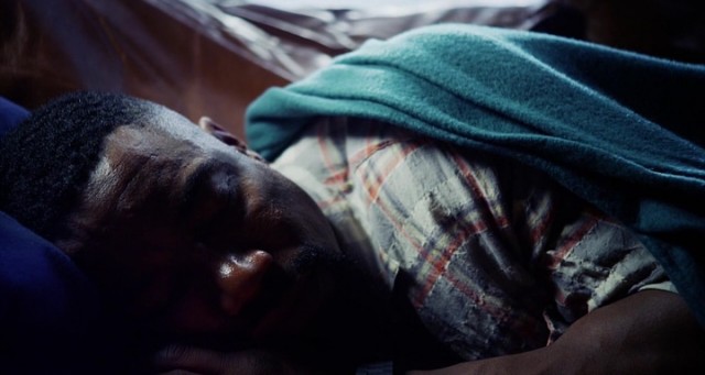 Falcon Rising Fotoğrafı