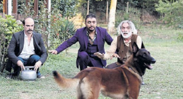 Düğün Dernek 2: Sünnet Fotoğrafı