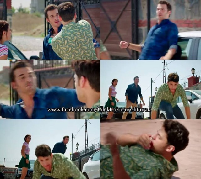 Çilek Kokusu Fotoğrafı