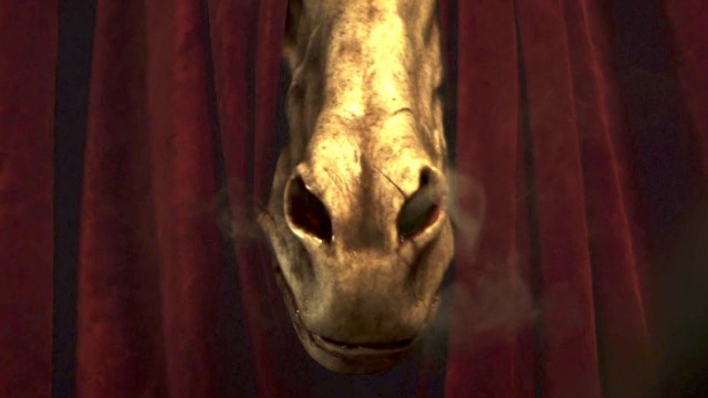 Horsehead Fotoğrafları 4