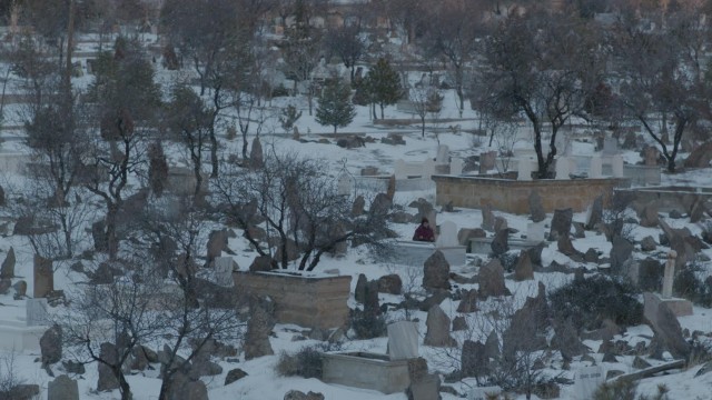 Ana Yurdu Fotoğrafı