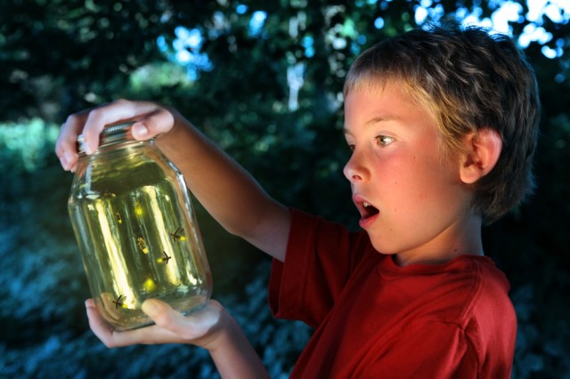 Catching Fireflies fotoğrafı