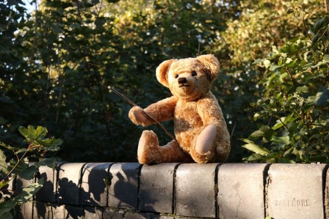 Goodbye Christopher Robin Fotoğrafı