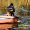 Ozark Sharks Fotoğrafı