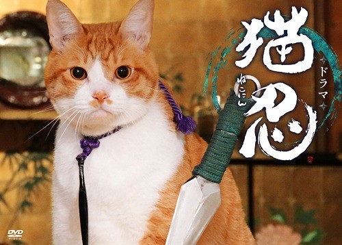 Neko Ninja Fotoğrafı