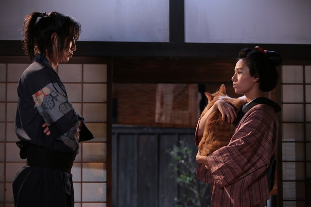 Neko Ninja Fotoğrafı