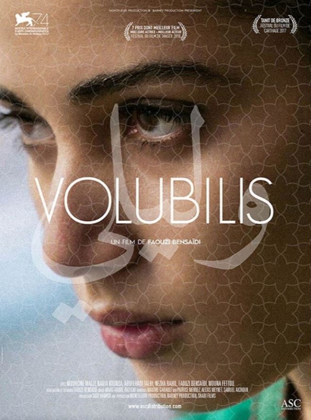 Volubilis Fotoğrafı
