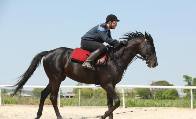 Bizim İçin Şampiyon Fotoğrafları 5