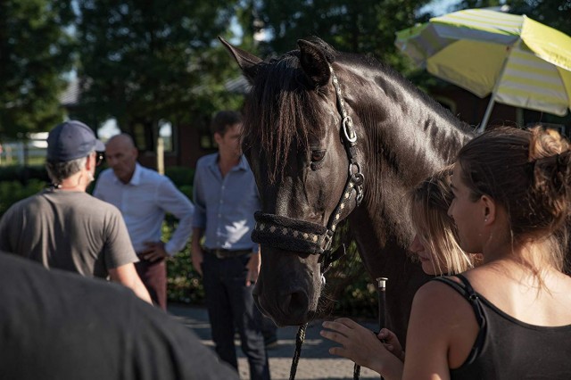 Immenhof - Das Abenteuer eines Sommers Fotoğrafı