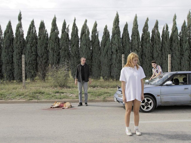 Take Me Somewhere Nice Fotoğrafı