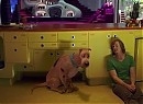 Scooby Doo 2: Canavarlar Kaçtı Fotoğrafı