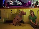 Scooby Doo 2: Canavarlar Kaçtı Fotoğrafı