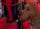 Scooby Doo 2: Canavarlar Kaçtı Fotoğrafı