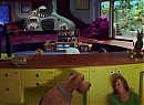 Scooby Doo 2: Canavarlar Kaçtı Fotoğrafları 336