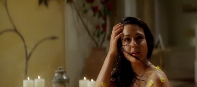 Veer Zaara Fotoğrafı