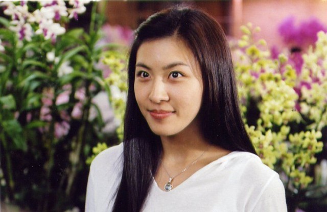 Daddy-long-legs Fotoğrafı