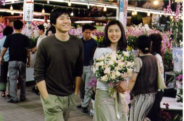 Daddy-long-legs Fotoğrafı