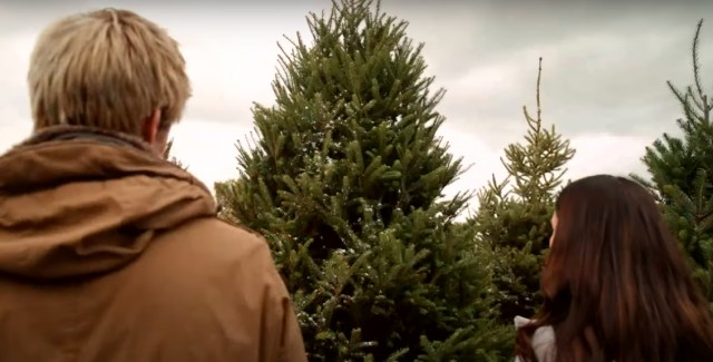 Noel'e Çok Yakın Fotoğrafı