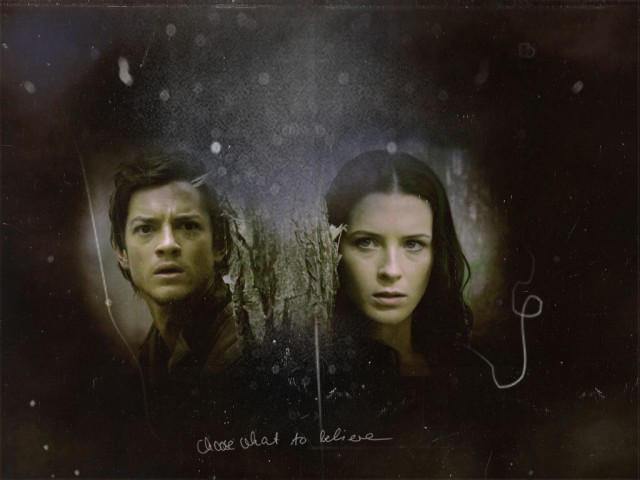 Legend Of The Seeker Fotoğrafı
