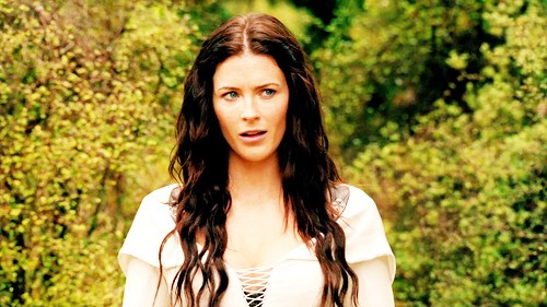 Legend Of The Seeker Fotoğrafı