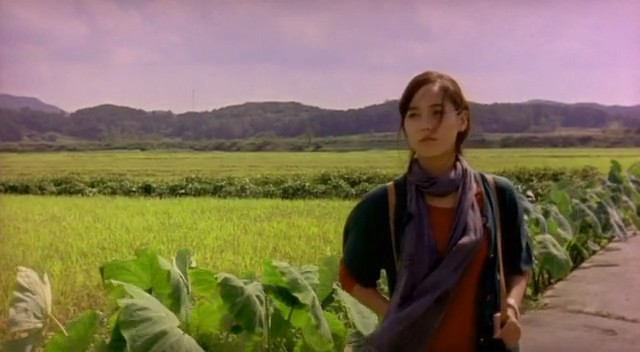 Kırık Kalp Kütüphanesi Fotoğrafı