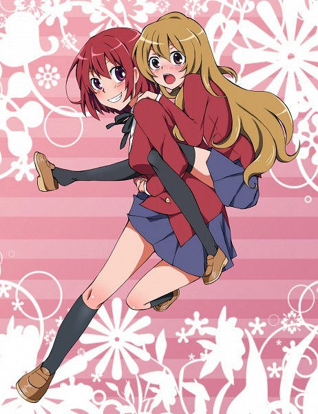 Toradora! Fotoğrafı
