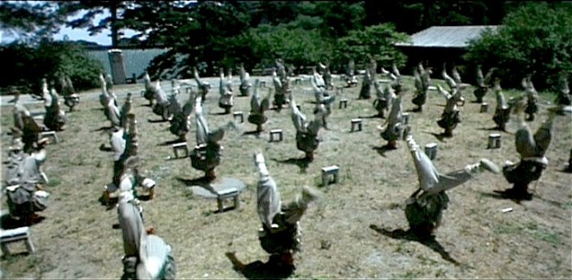 Twin Warriors Fotoğrafı