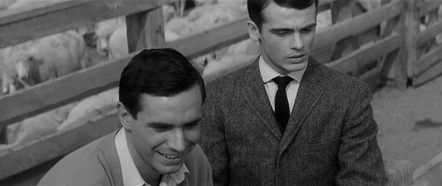 Compulsion Fotoğrafı