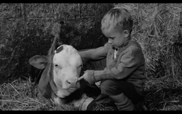 Le vieil homme et l'enfant Fotoğrafı