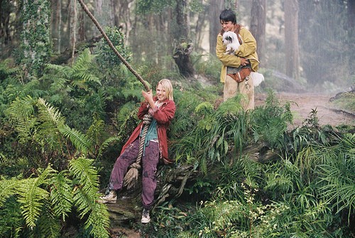 Terabithia Köprüsü Fotoğrafları 24