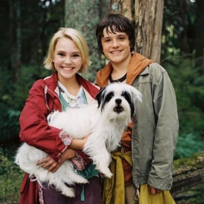 Terabithia Köprüsü Fotoğrafları 38