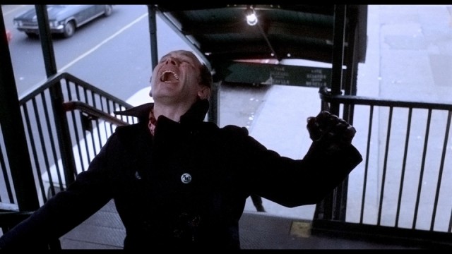 Kanunun Kuvveti Fotoğrafı