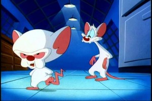 Pinky And The Brain Fotoğrafları 1