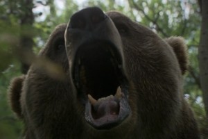 Grizzly Rage Fotoğrafı