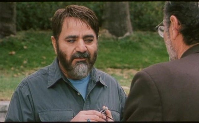 Söğüt Ağacı Fotoğrafı