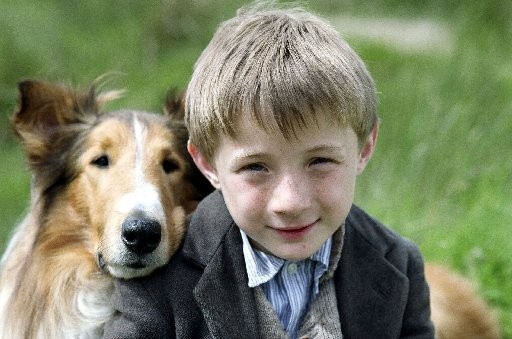 Lassie Fotoğrafı
