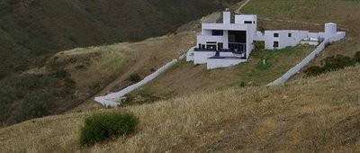 Çaylak fotoğrafı